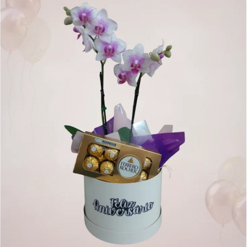 Mini Orquídea 2 Hastes Pote 9 - Cor Variada + Chocolate - Feliz Aniversário